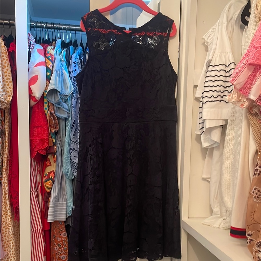 Elegant Navy Lace Dress